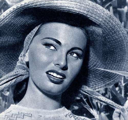 Sophia Loren Actress Vintage Movies Motion Pictures