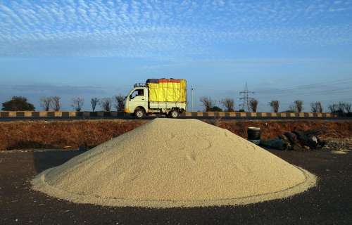 Sorghum Grains Cleaned Highway Van Karnataka