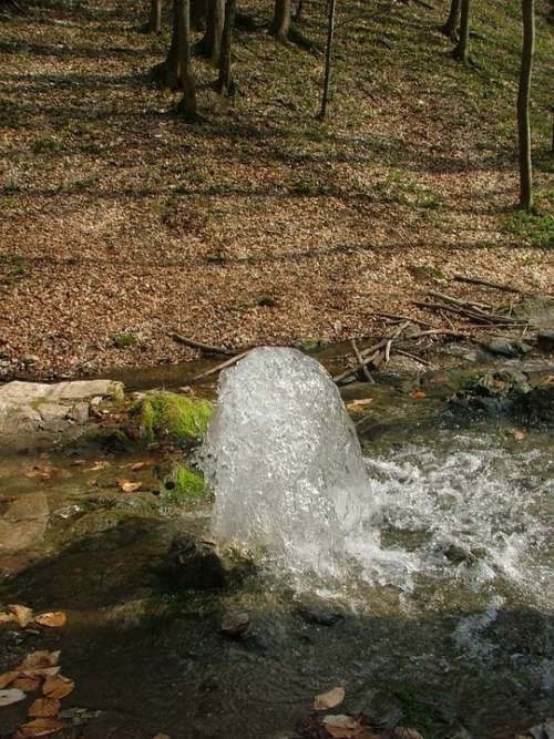 Source Spring Water Freshness Forest Nature