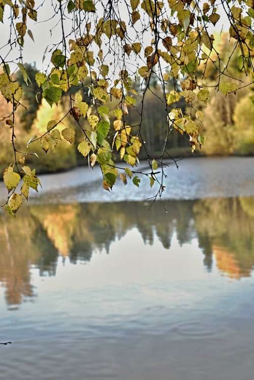 South Bohemia Harvesting Pond Reflection Ripple