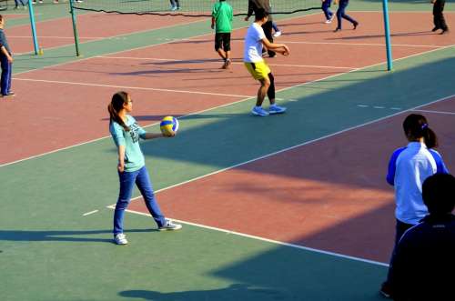 Sports People Students Volleyball Court Courts