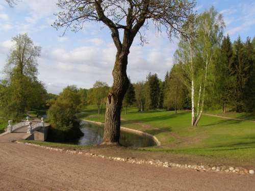 Spring Tree Green Lane Bridge River Sky