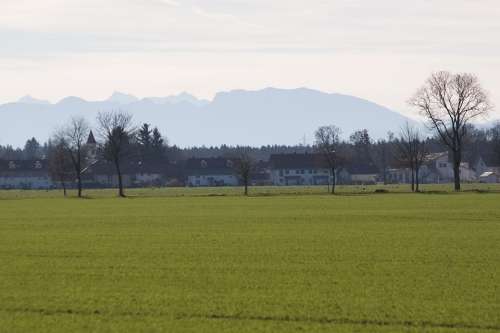 Spring Trees Hair Dryer Landscape Panorama