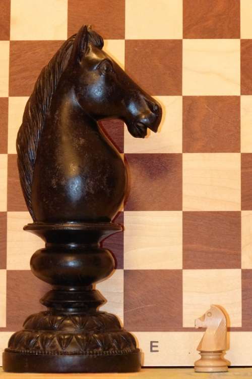 Springer Chess Chess Piece Horse Rössl Chess Board