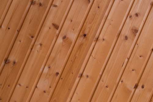 Spruce Background Wood Lines Panels Flooring