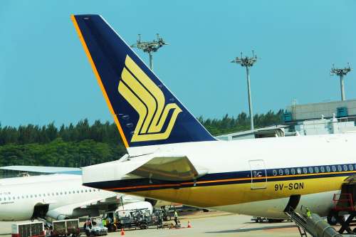 Sq Sia Airline Logo Wing Flight Plane