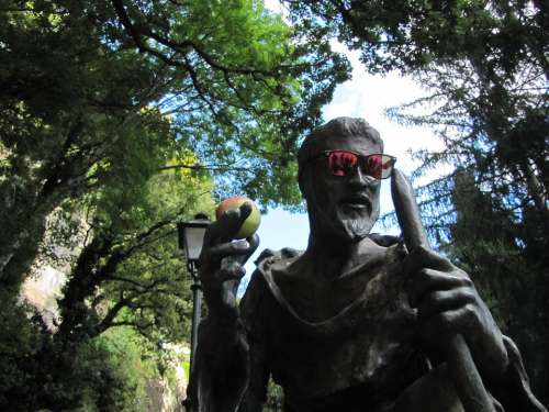 St Francis Sunglasses Apple Funny