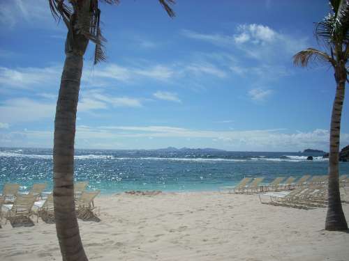 St Maarten Beach Palm Trees Ocean Lounge Chairs