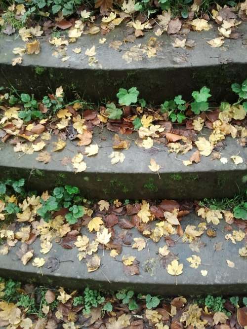 Stairs Gradually Autumn Away Leaves Background
