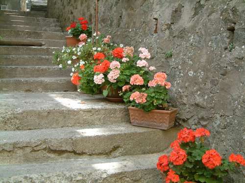 Stairs Tuscany Stones Holiday
