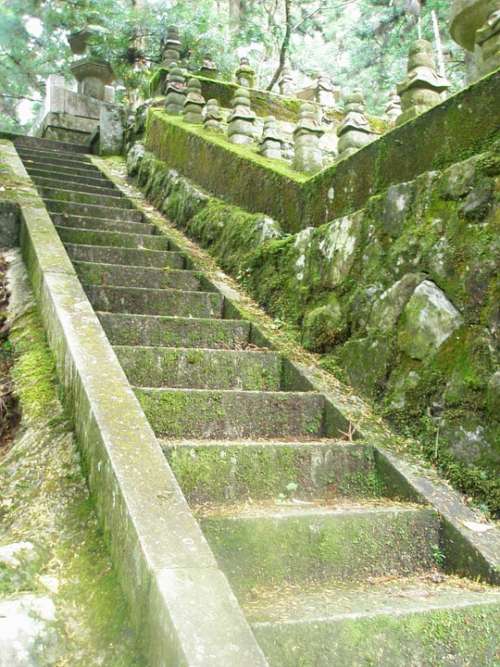 Stairs Moss Green Old Ancient