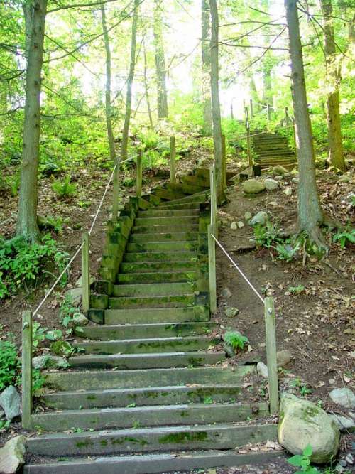 Stairs Steps Wooden Steps Path Forest Woods Trees