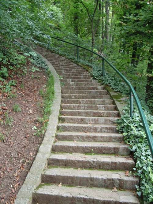 Stairs Graz Schlossberg Hiking Walk Green Leaves
