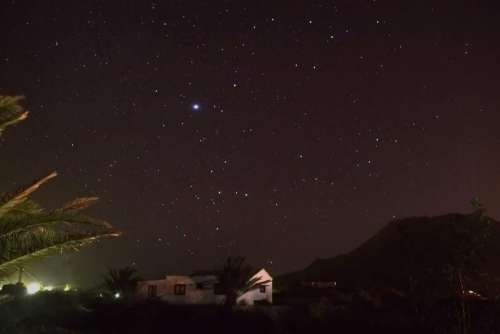 Star Night Landscape Palm Mood Cosmos Star Tent