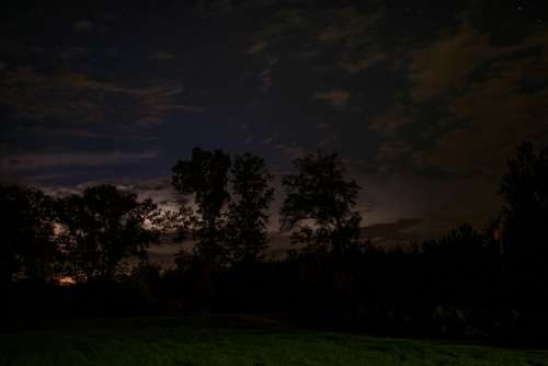 Stars Night Dark Nightsky Trees Silhouettes