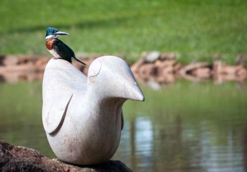 Statue Bird Stone Sculpture Garden