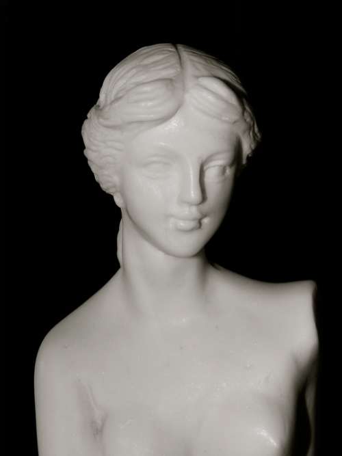 Statue Marble Carrara Bust Figure