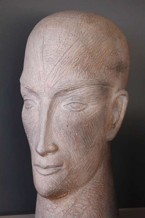 Statue Head Stone Hard Sculpture Face