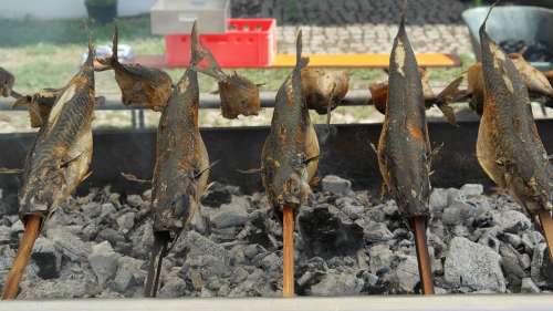 Steckerlfisch Mackerel Grill Fish Charcoal Fire