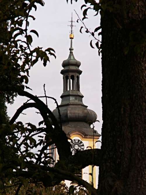 Steeple Old Tree Tower Architecture Borovany Trunk