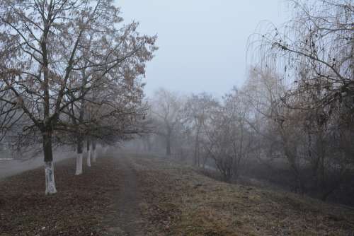 Ștefan Vodă Gealair River Late Autumn Fog