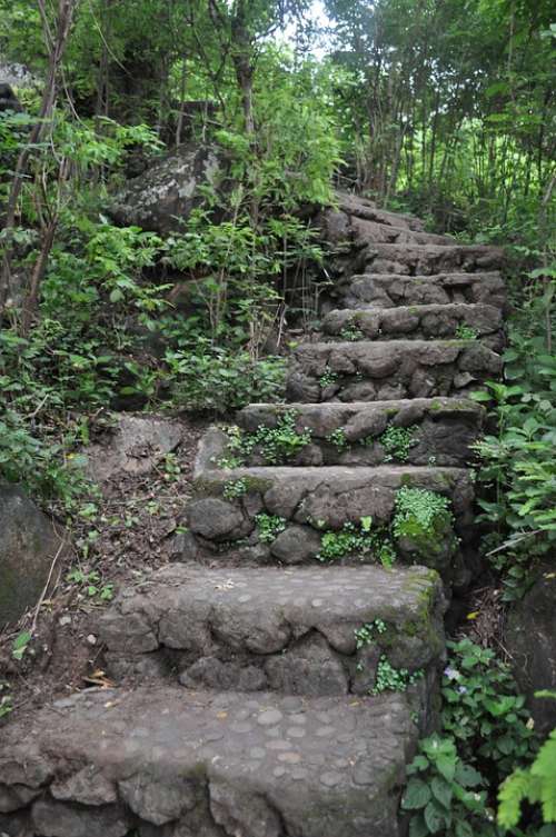 Steps Stairs Green Stone Forest Nature