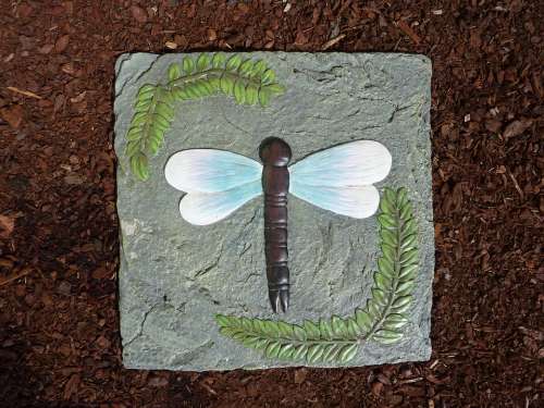 Stone Tile Dragonfly Insect Nature Wings Step