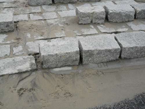 Stone Patch Sand Trace Dog Paw Pattern