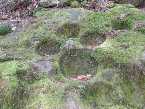 Stone Ice Age Foundling Green Moss Forest