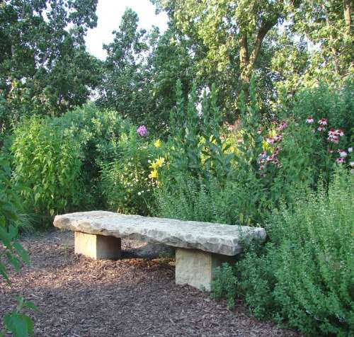 Stone Bench Flowers Plants Nature Summer