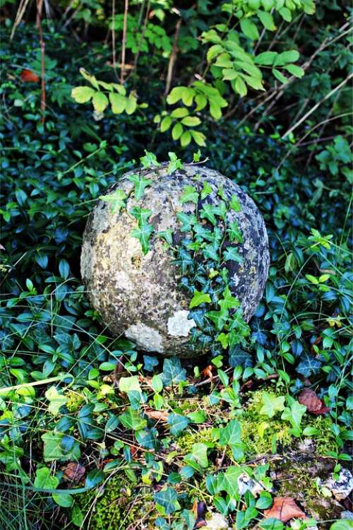 Stone Ball Ivy Ball Stone Round Overgrown Nature