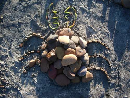 Stones Bug Figure Beach Sand