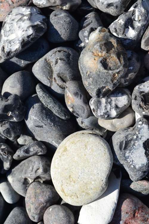 Stones Coast Beach Pebble Stone
