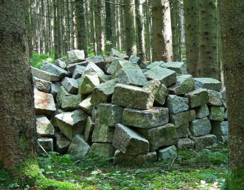 Storage Stones Forest Trees Nature Garbage