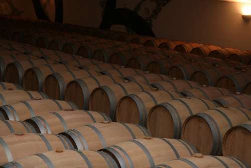 Storage Barrels Red Wine Bordeaux France Vine