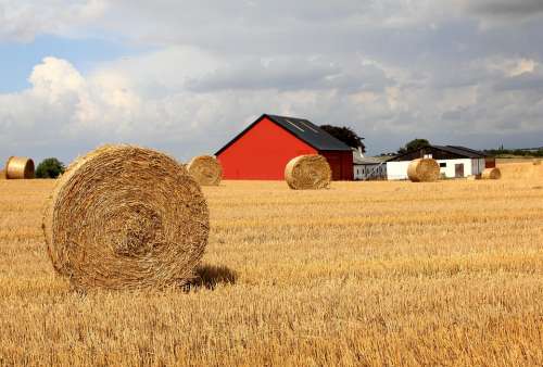 Straw Go Field Halmbal Barn Harvest