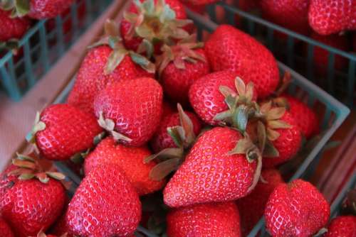 Strawberries Berries Fresh Sweet Food Fruit Red