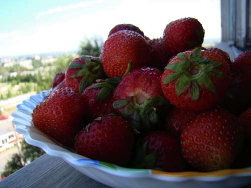 Strawberry Berry Red Appetizing Tasty Loggia Sun