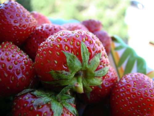 Strawberry Berry Red Appetizing Tasty Loggia Sun