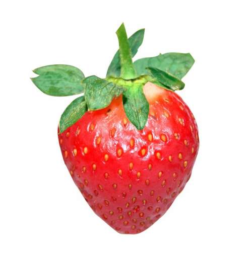 Strawberry Red Fruit Strawberries