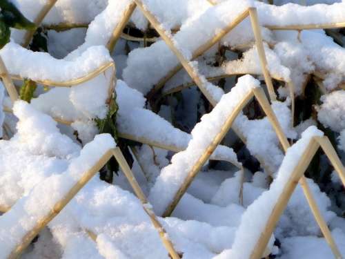 Straws Winter Snow Wintry Snowy Cold White Bent