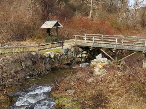 Stream Herring Run Water Brewster Cape Cod Winter