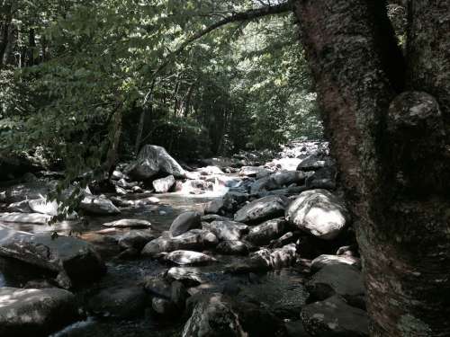 Stream Hike Outdoors Creek Mountain Forest Water