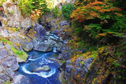 Stream Gorge Japan Nature Water