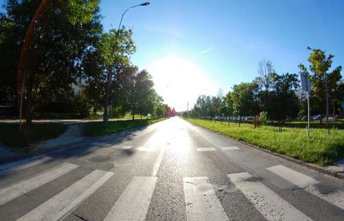 Street Seat Belts Zebra Pedestrian Crossing Kielce