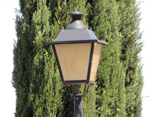 Street Lamp Background Light Tree Contrast Lantern