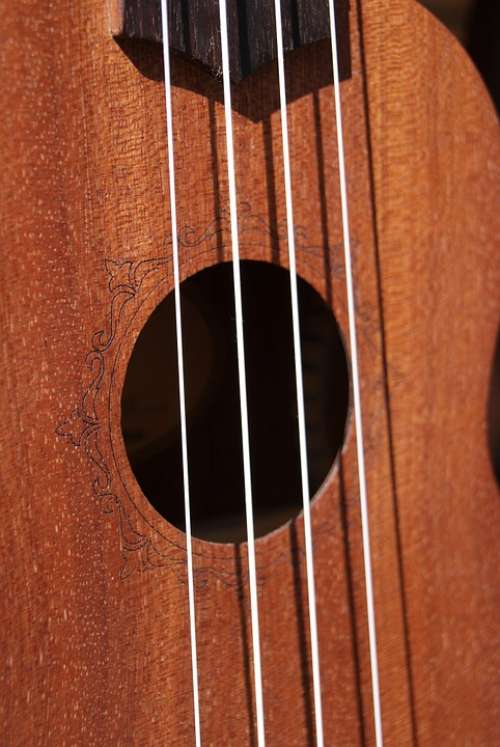 Strings Ukulele Music Hollow Wood Instrument