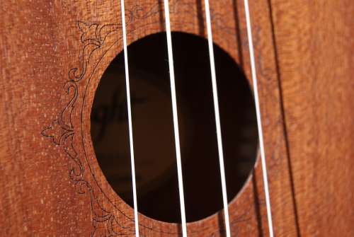 Strings Ukulele Music Hollow Wood Instrument