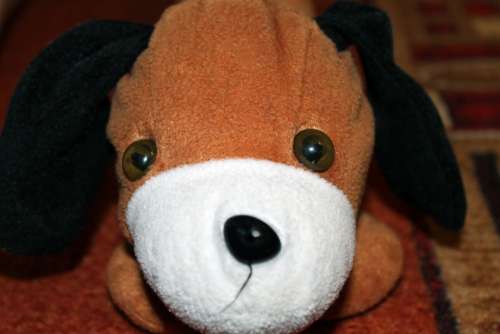 Stuffed Animal Dog Floppy Ear Niedlig