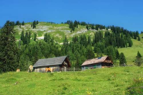 Styria Austria Landscape Scenic Hill Hillside